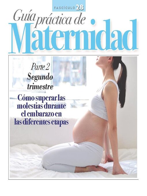 Title details for Guía práctica de Maternidad by Media Contenidos - Available